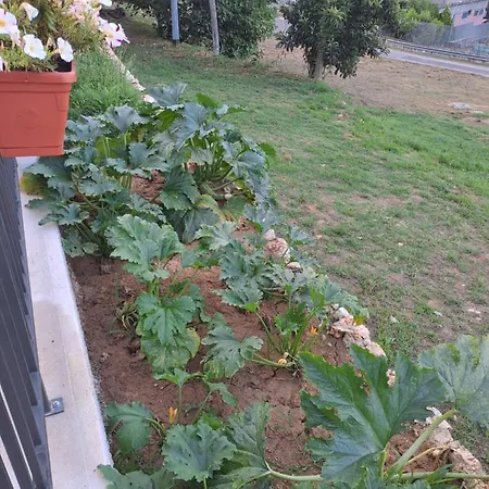 Farm stay Pavoni *